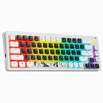 Golden Lion GI68 Mechanical Red Switches